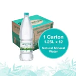 Spritzer Natural Mineral Water (1250ML X 12)